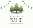 (TEMPLATE) You Pick Mystery Box