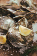 Open At Home Oyster